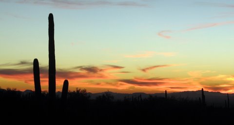 Tucson Sunset