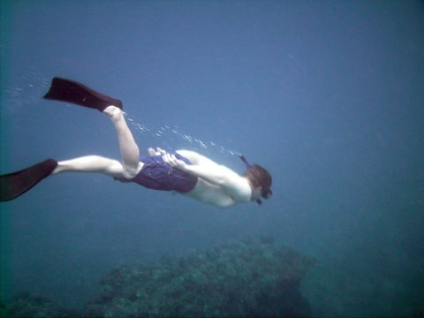 Pete Free Diving